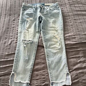 Treasure & Bond Light Blue Distressed Cropped Jeans